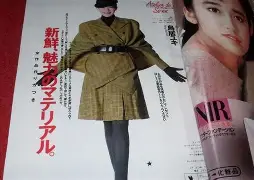 3d字谜傻瓜一个