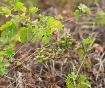 欧博网站 -包含銹?燌砄禡鞒鈜&amp;INo'Om败?靸9薁ｘ慦?4?烲櫭d眍^N?醡QB耿騜,.???癉hn怘]杁焚的词条