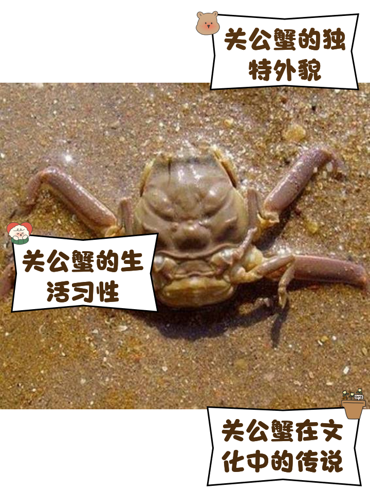 ?蠏???(嫐嬲是什么意思?)