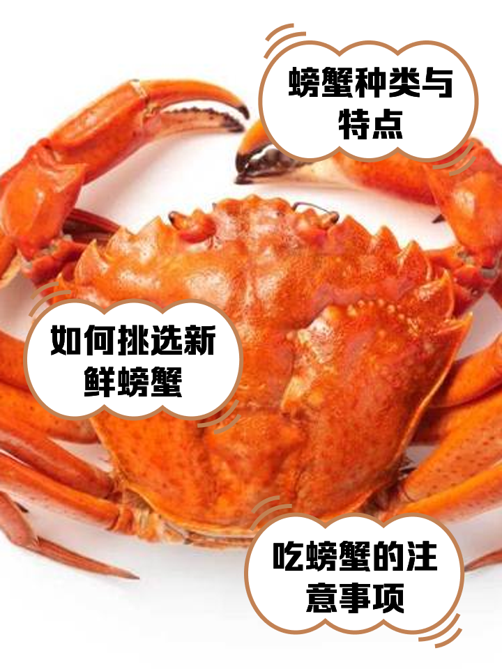 ?蠏???(嫐嬲是什么意思?)